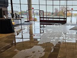 Mold Remediation After Water Damage